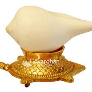 Shankh Tortoise stand